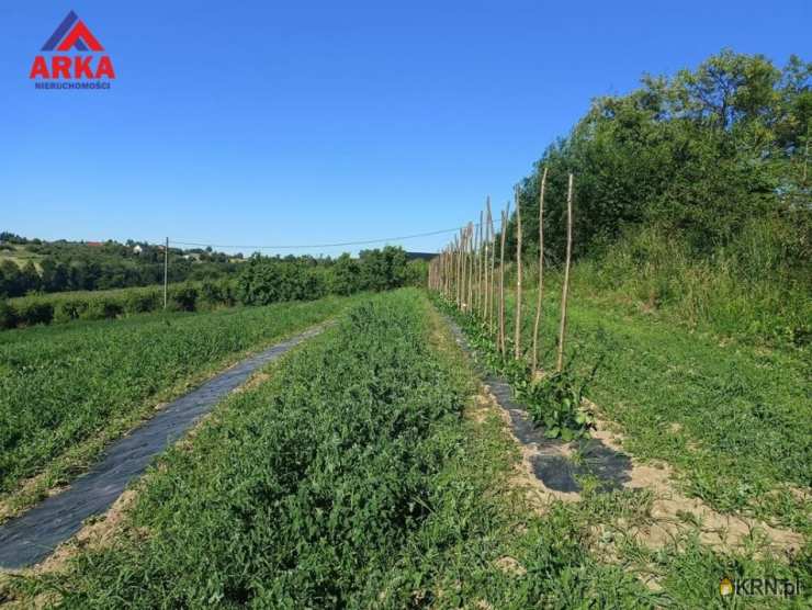 Sadek, ul. , Działki  na sprzedaż, 