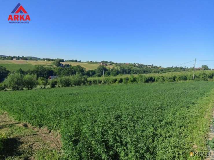 , Sadek, ul. , Działki  na sprzedaż