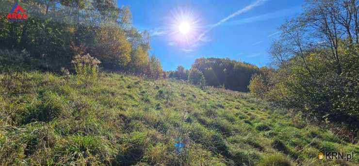 Zabrzeż, ul. , Działki  na sprzedaż, 