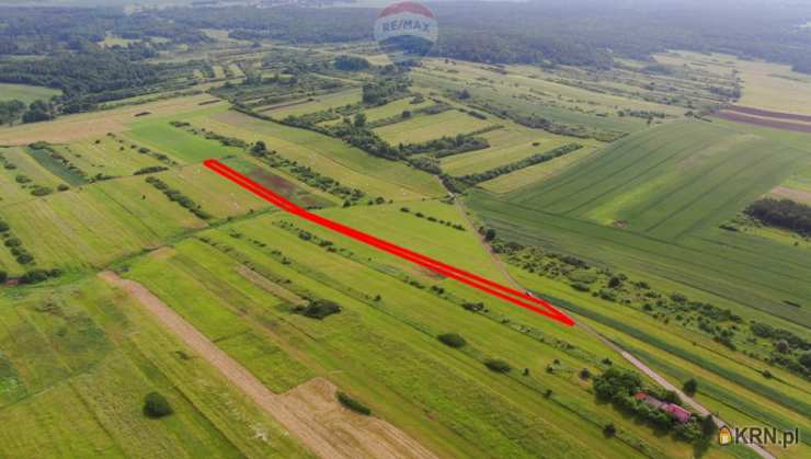 Działki  na sprzedaż, Poręba, ul. , 