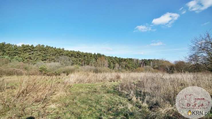 Działki  na sprzedaż, , Stęszew, ul. 