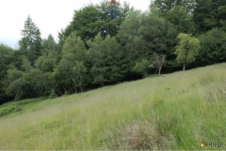 Wilkowice, ul. , , Działki  na sprzedaż