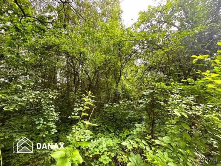 , Dąbrowa Szlachecka, ul. , Działki  na sprzedaż