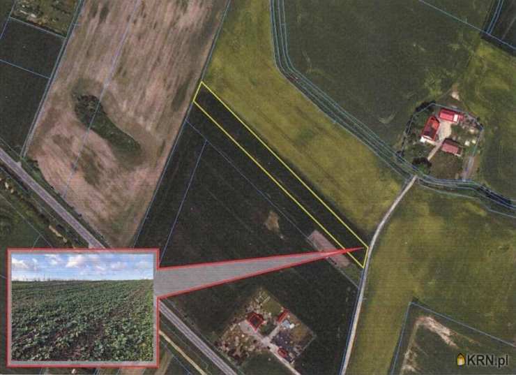 Działki  na sprzedaż, , Bisztynek-Kolonia, ul. 