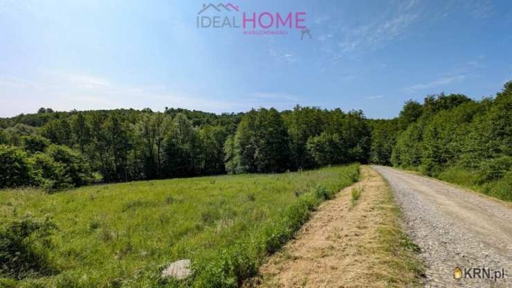 Działki  na sprzedaż, Straszydle, ul. , 