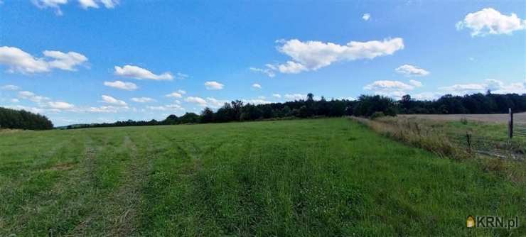 Działki  na sprzedaż, Cieszów, ul. , 