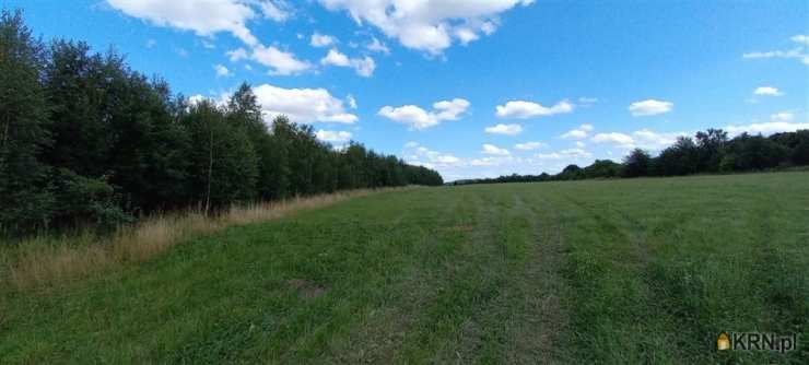 Biuro Nieruchomości SOWA, Działki  na sprzedaż, Cieszów, ul. 