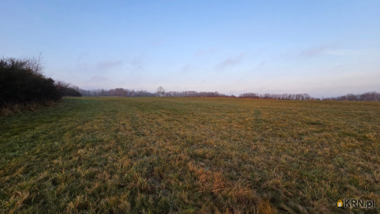 Działki  na sprzedaż, , młynary, ul. 