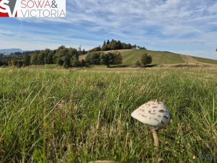 Sierpnica, ul. , , Działki  na sprzedaż