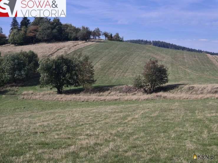 Działki  na sprzedaż, , Sierpnica, ul. 