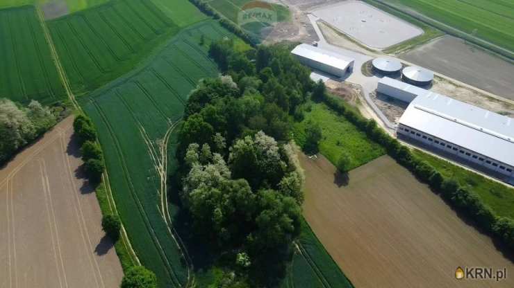 Gierałtowice, ul. , , Działki  na sprzedaż