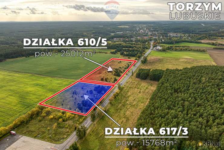 RE/MAX Polska, Działki  na sprzedaż, Torzym, ul. 