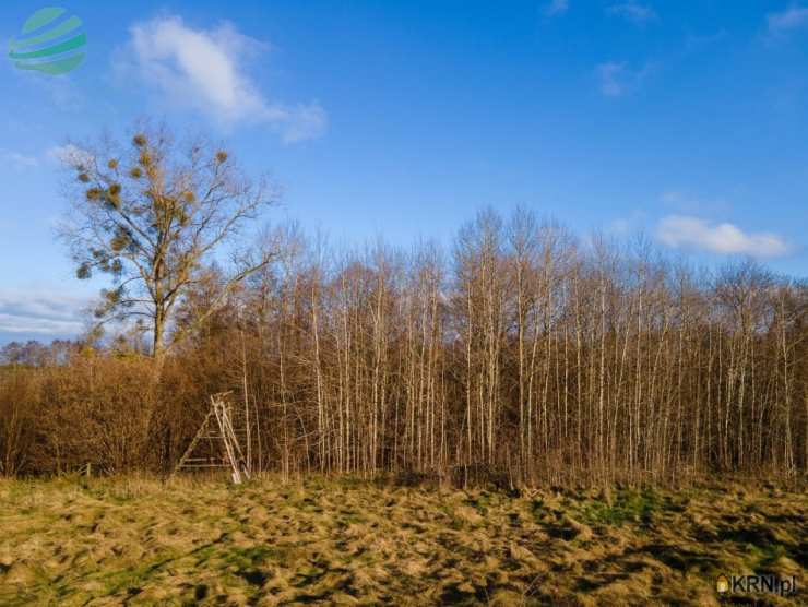 Działki  na sprzedaż, Zielenica, ul. , 