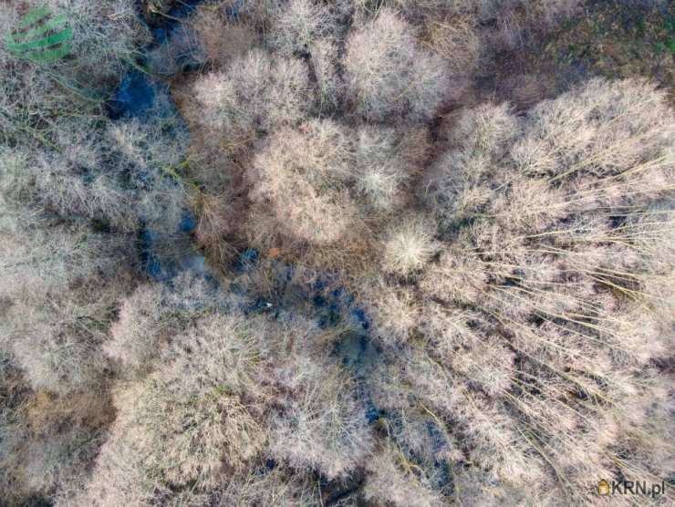 Zielenica, ul. , Działki  na sprzedaż, 