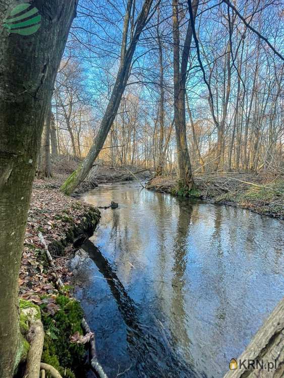 Darłowo Nieruchomości Adam Gola, Działki  na sprzedaż, Zielenica, ul. 