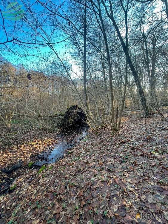 Zielenica, ul. , Działki  na sprzedaż, 