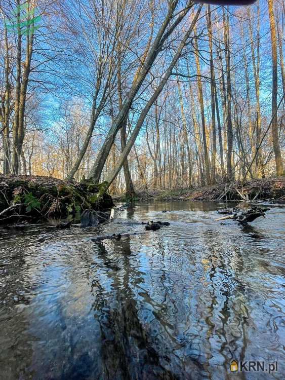 , Zielenica, ul. , Działki  na sprzedaż