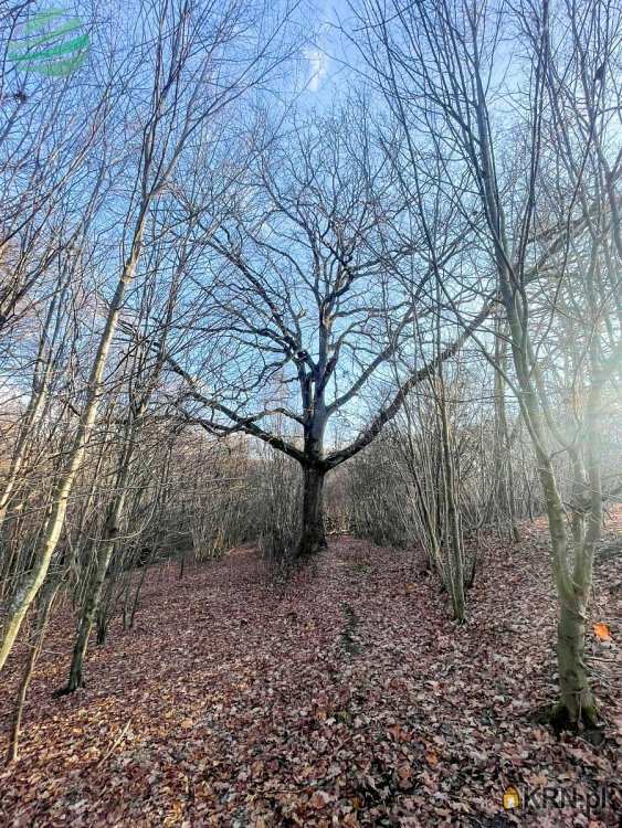 Darłowo Nieruchomości Adam Gola, Działki  na sprzedaż, Zielenica, ul. 