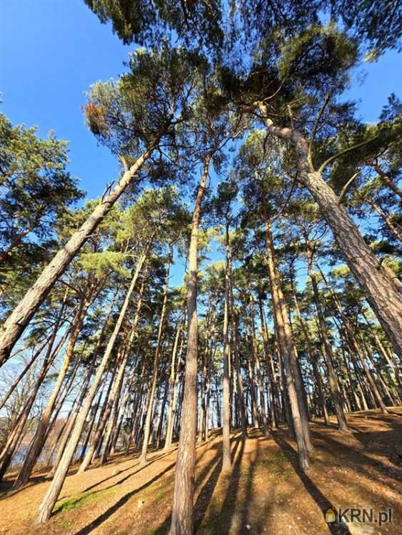 Twoje Centrum Nieruchomości, Działki  na sprzedaż, Lgiń, ul. 