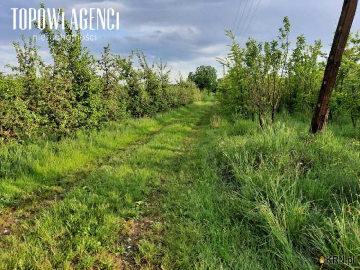 Działki  na sprzedaż, , Wierzchowina, ul. 