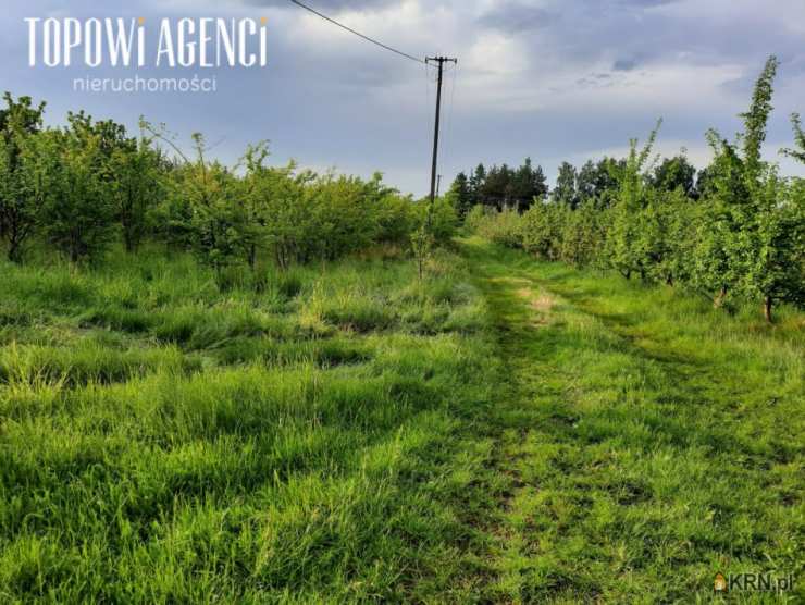 , Działki  na sprzedaż, Wierzchowina, ul. 