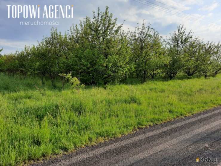 Działki  na sprzedaż, Wierzchowina, ul. , 