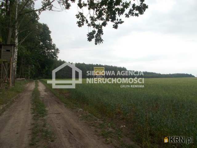 Działki  na sprzedaż, Mszano, ul. , 