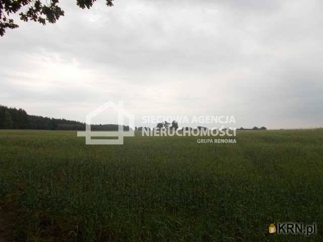 Działki  na sprzedaż, , Mszano, ul. 