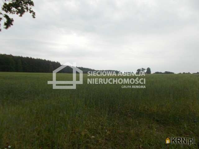 , Działki  na sprzedaż, Mszano, ul. 