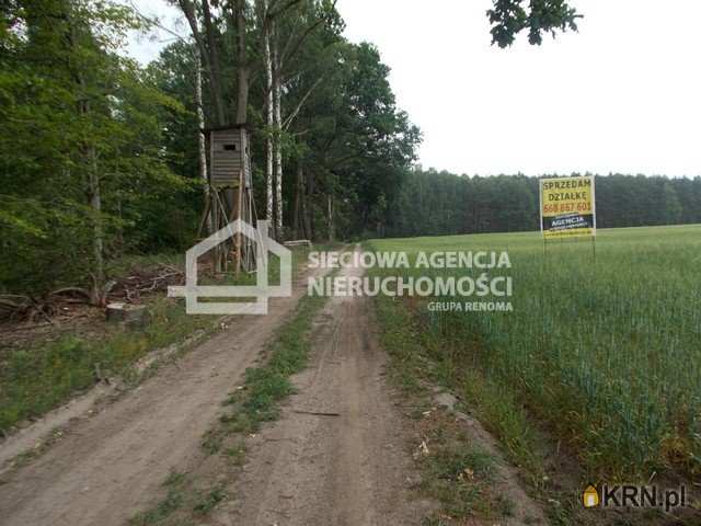 Mszano, ul. , Działki  na sprzedaż, 