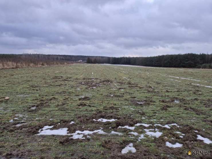 Wierzchy, ul. , Działki  na sprzedaż, 