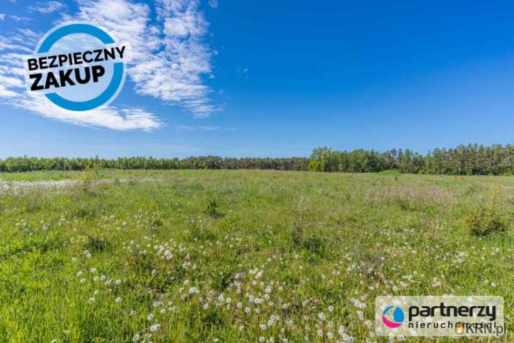 , Działki  na sprzedaż, Pierwoszyno, ul. Ogrodników