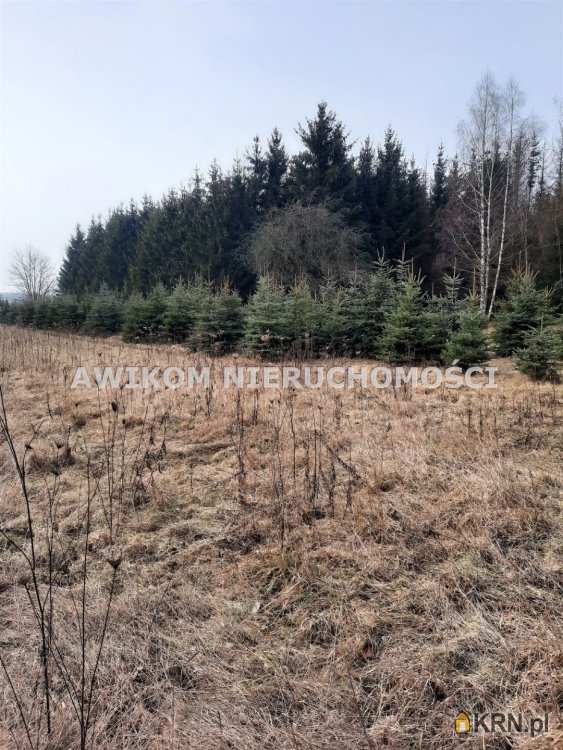 Powązki, ul. , Działki  na sprzedaż, 