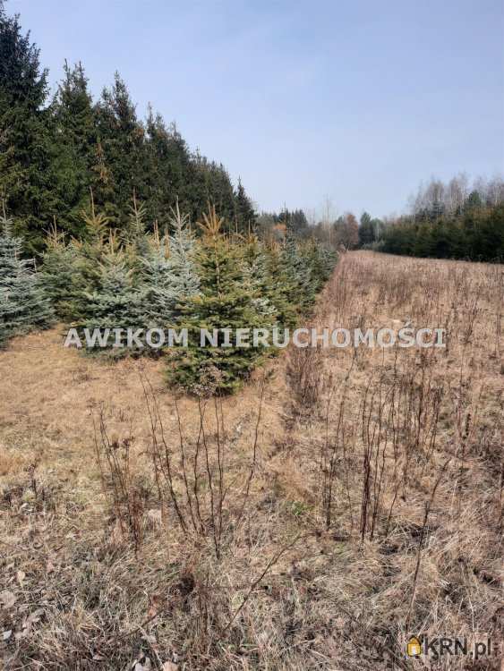 Działki  na sprzedaż, , Powązki, ul. 