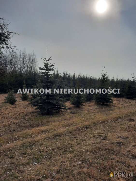 , Działki  na sprzedaż, Powązki, ul. 