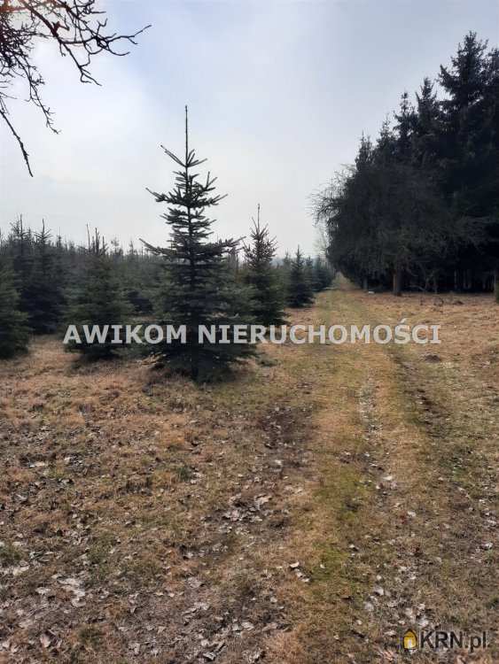 , Powązki, ul. , Działki  na sprzedaż