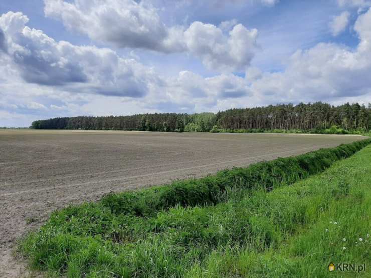 Działki  na sprzedaż, Zduny, ul. , 