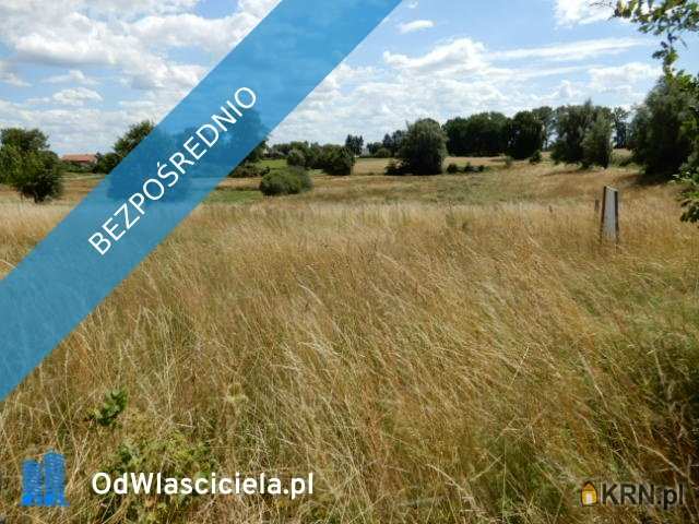 Działki  na sprzedaż, Trzeszyn, ul. , 