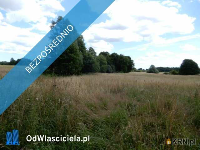 Działki  na sprzedaż, , Trzeszyn, ul. 