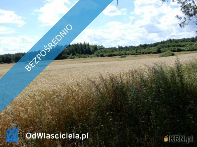 Trzeszyn, ul. , Działki  na sprzedaż, 