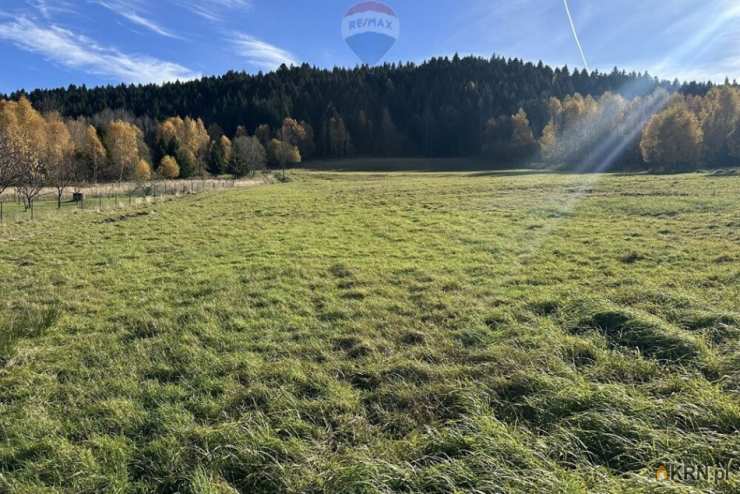 Działki  na sprzedaż, , Las, ul. 