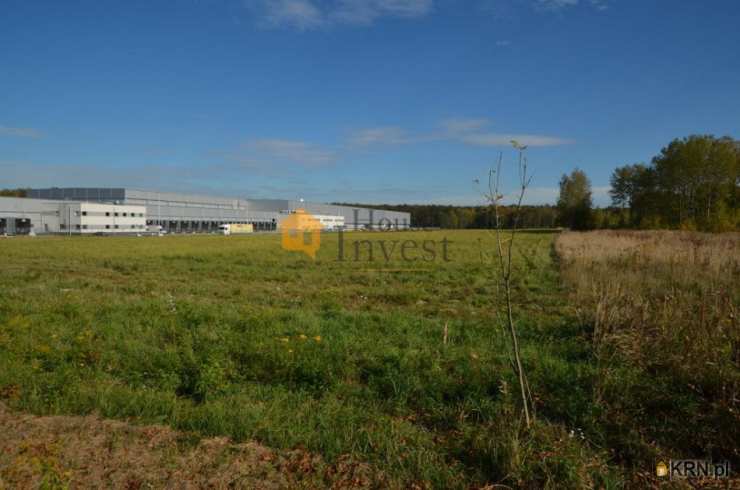 Rzeszotary, ul. , , Działki  na sprzedaż