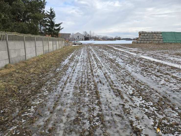 Żakowo, ul. , , Działki  na sprzedaż