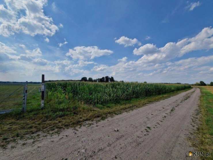 , Zborowo, ul. , Działki  na sprzedaż