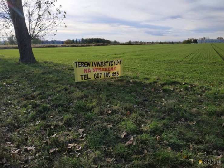 Działki  na sprzedaż, , Wierzbice, ul. 