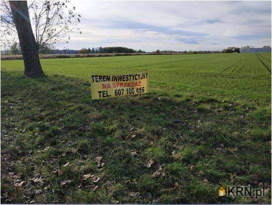 Działki  na sprzedaż, , Wierzbice, ul. 