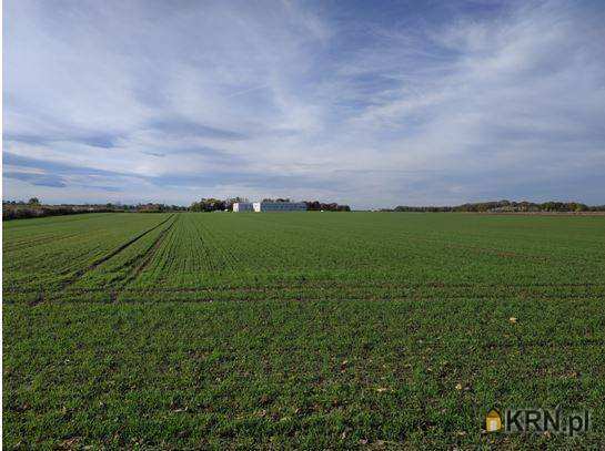 Wierzbice, ul. , Działki  na sprzedaż, 