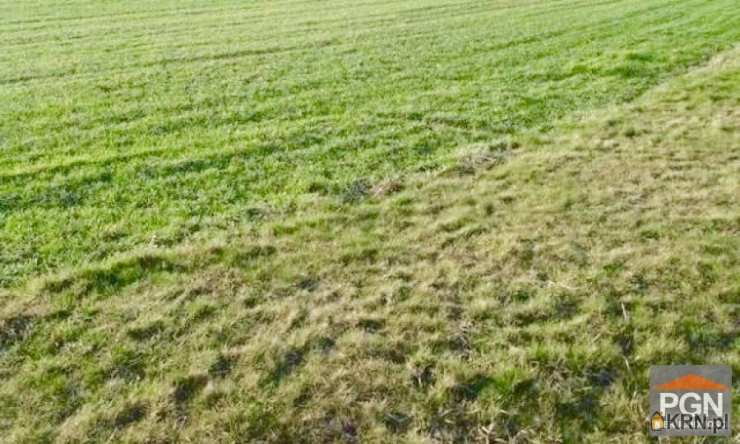 Działki  na sprzedaż, Płoty, ul. , 