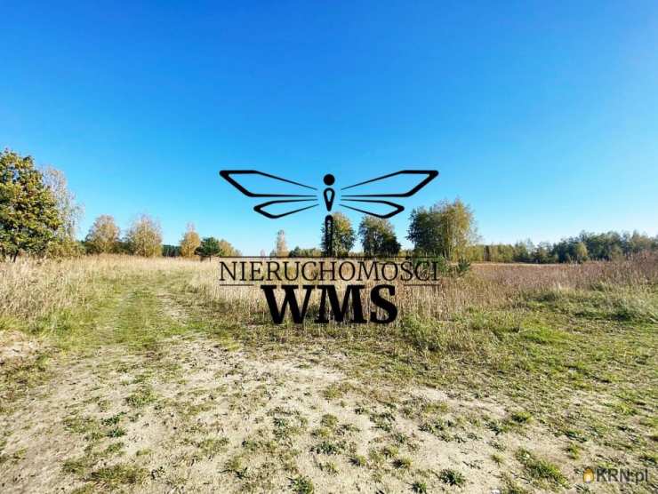 Działki  na sprzedaż, Budy Głogowskie, ul. , 