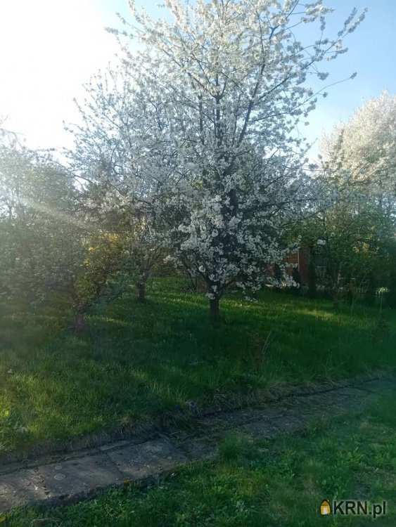 Racibórz, ul. , Działki  na sprzedaż, 